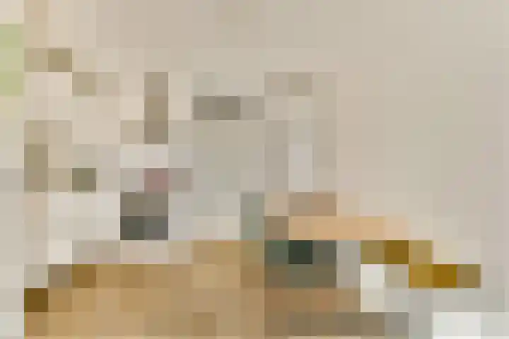 Kloekhorststraat 15 Amsterdam thumbnail 4