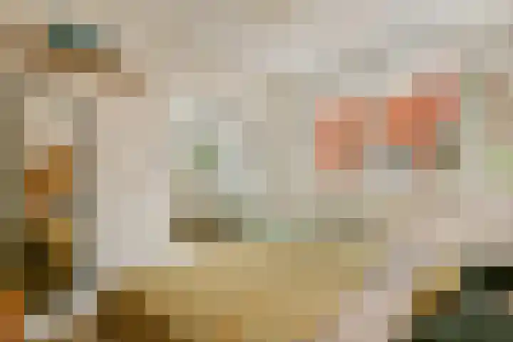 Kloekhorststraat 15 Amsterdam thumbnail 9