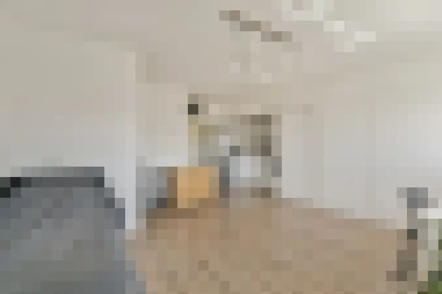 Kloekhorststraat 207 Amsterdam thumbnail 4