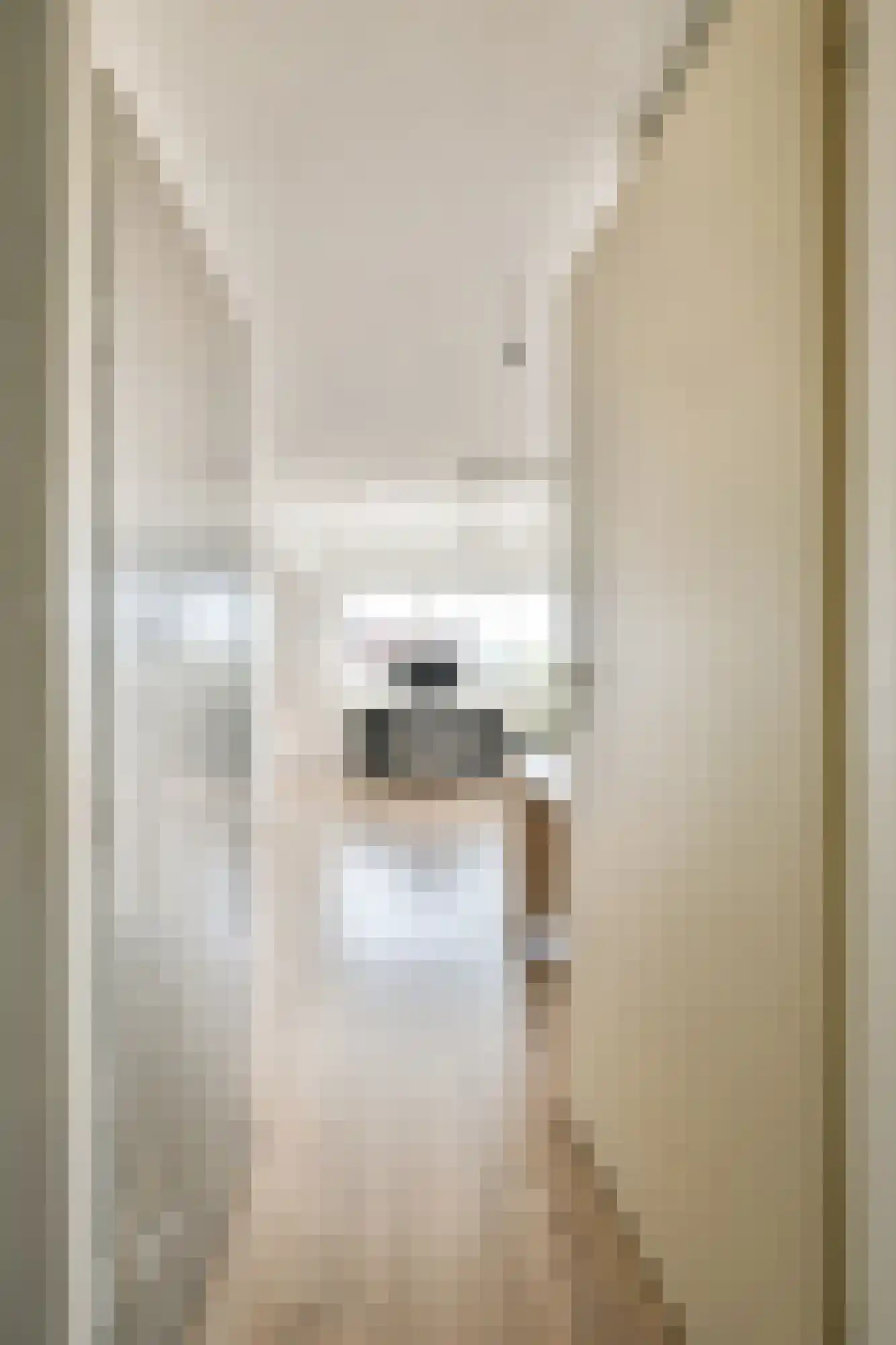 Kloekhorststraat 207 Amsterdam thumbnail 7