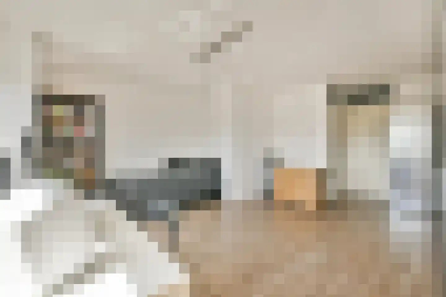 Kloekhorststraat 207 Amsterdam thumbnail 8