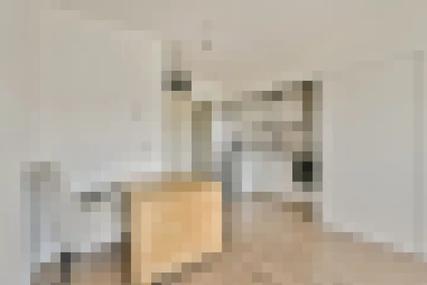 Kloekhorststraat 207 Amsterdam thumbnail 9