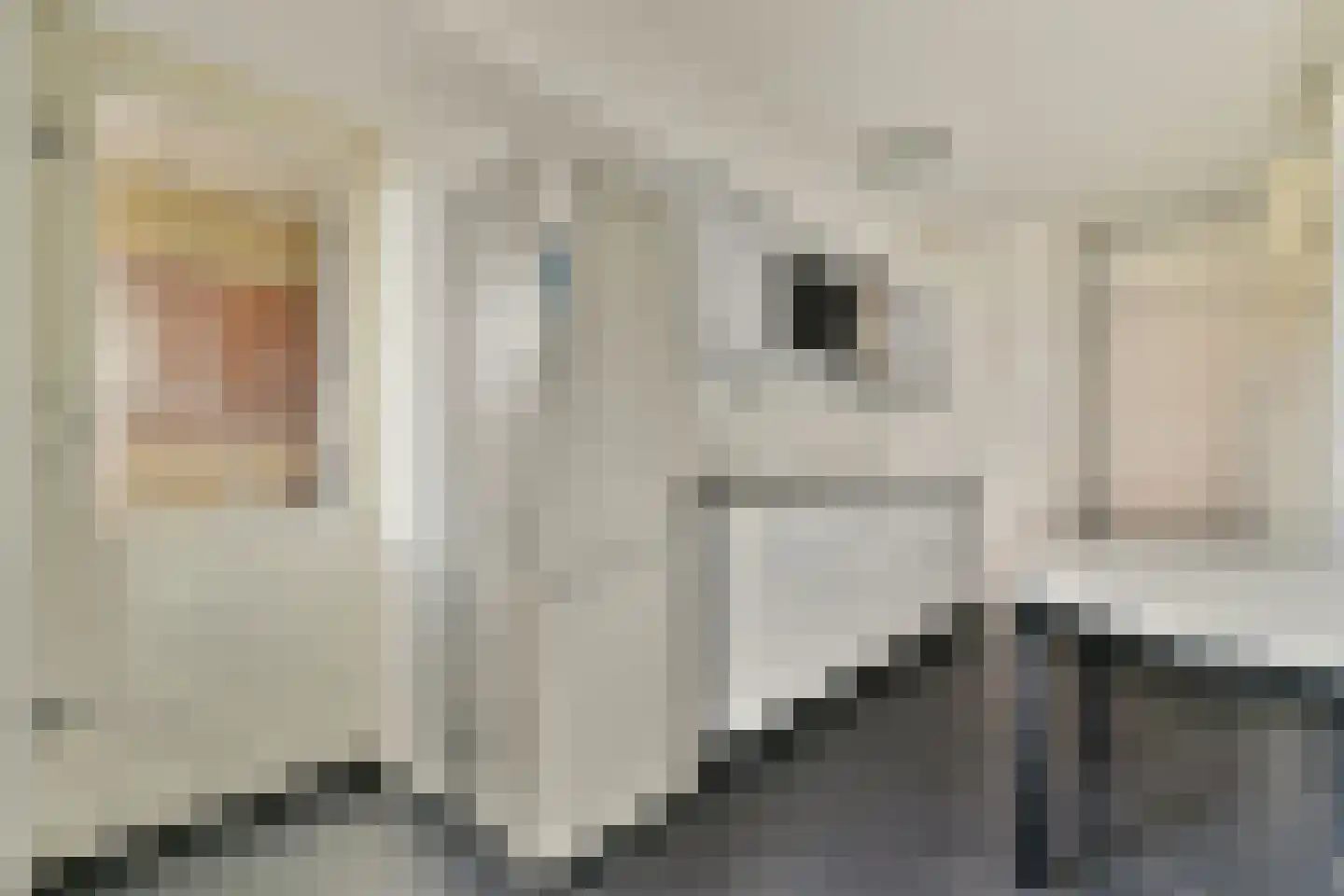 Kloekhorststraat 21 Amsterdam thumbnail 8