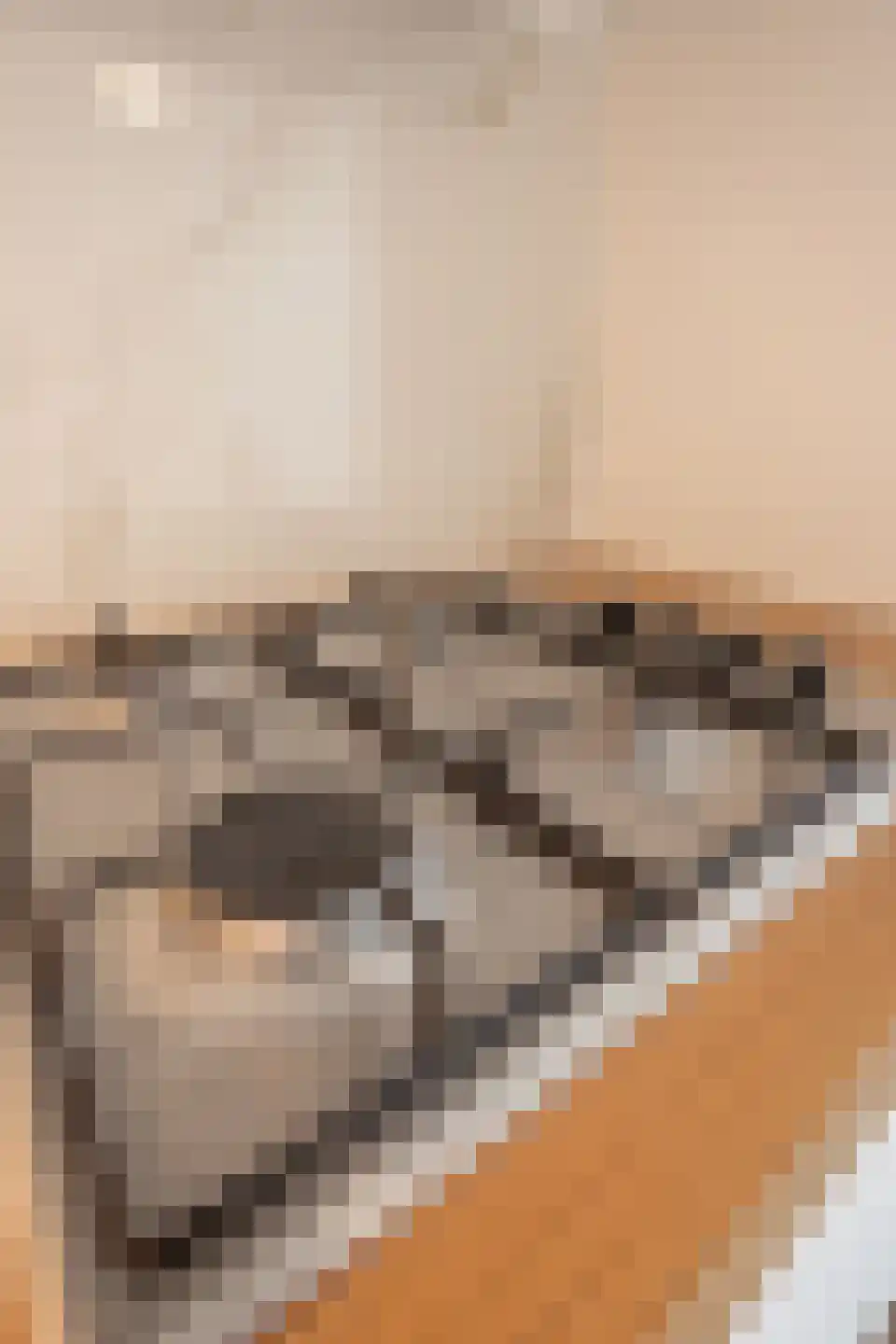 Kloekhorststraat 25 Amsterdam thumbnail 9