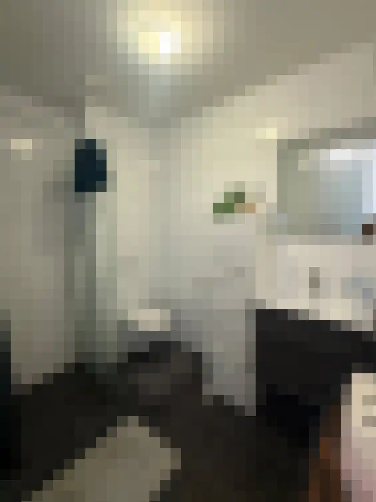 Kloekhorststraat 29 X Assen thumbnail 6