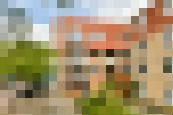 Kloekhorststraat 339 Amsterdam thumbnail 15