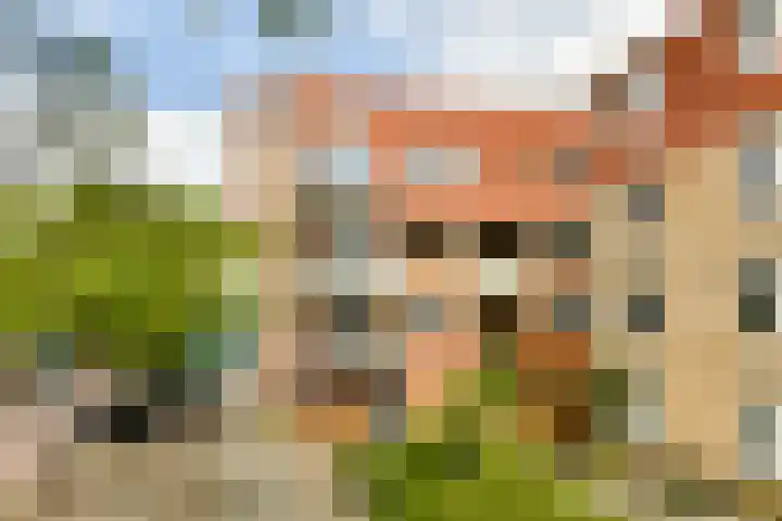 Kloekhorststraat 339 Amsterdam thumbnail 4