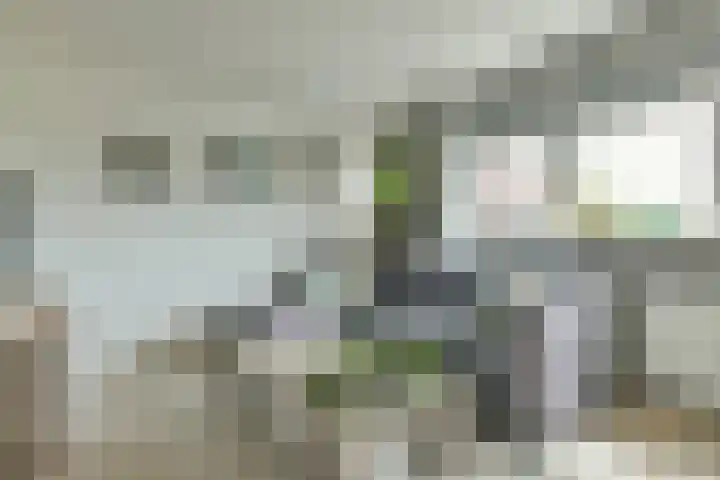 Kloekhorststraat 339 Amsterdam thumbnail 7