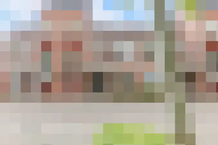Kloet 21 Enkhuizen thumbnail 10