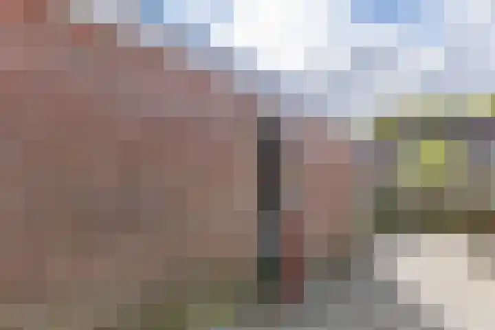 Kloet 21 Enkhuizen thumbnail 29