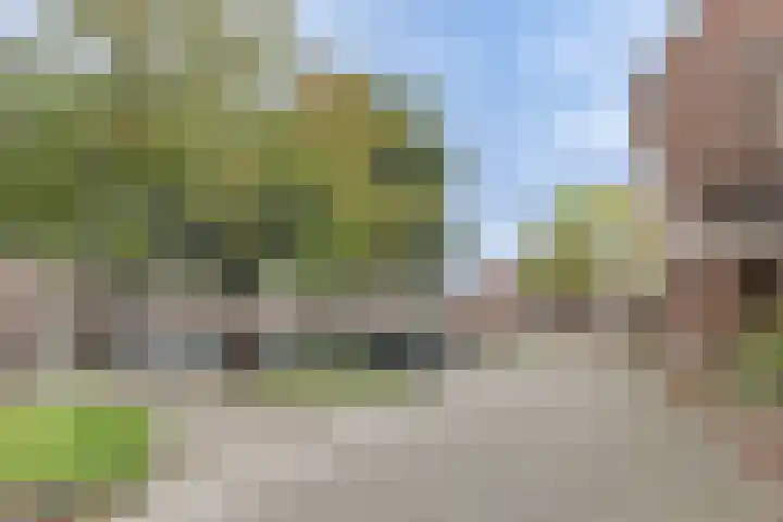 Kloet 21 Enkhuizen thumbnail 32