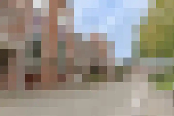Kloet 21 Enkhuizen thumbnail 35