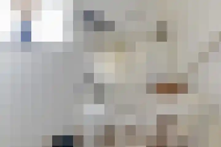 Kloet 28 Obdam thumbnail 23