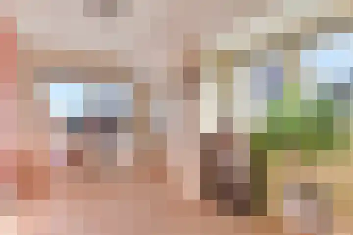 Kloet 42 Obdam thumbnail 5