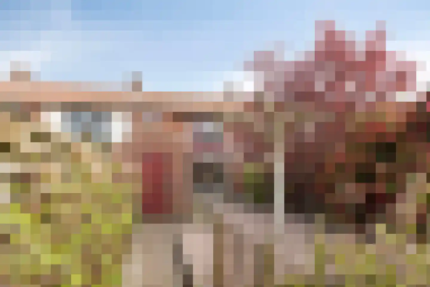 Kloetenseweg 12 Winterswijk thumbnail 29