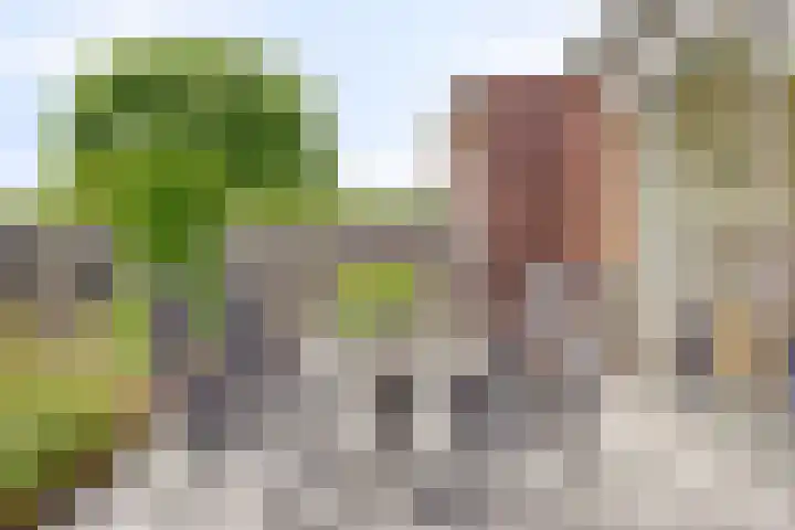 Kloetenseweg 4 I Winterswijk thumbnail 31