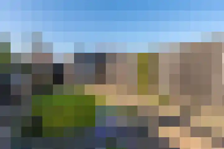 Kloetenweg 24 Delden thumbnail 20