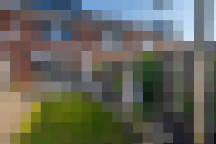 Kloetenweg 24 Delden thumbnail 21