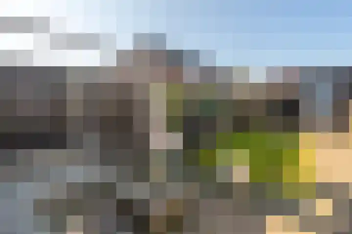 Kloetenweg 24 Delden thumbnail 22