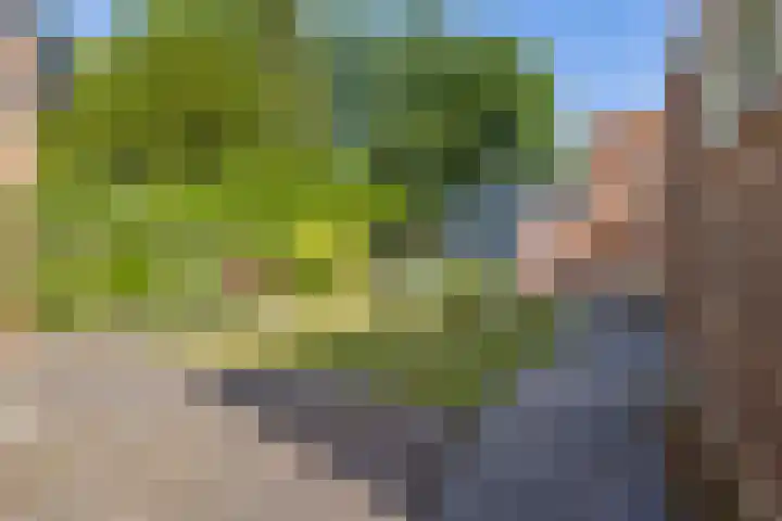 Kloetingseweg 17 Goes thumbnail 24