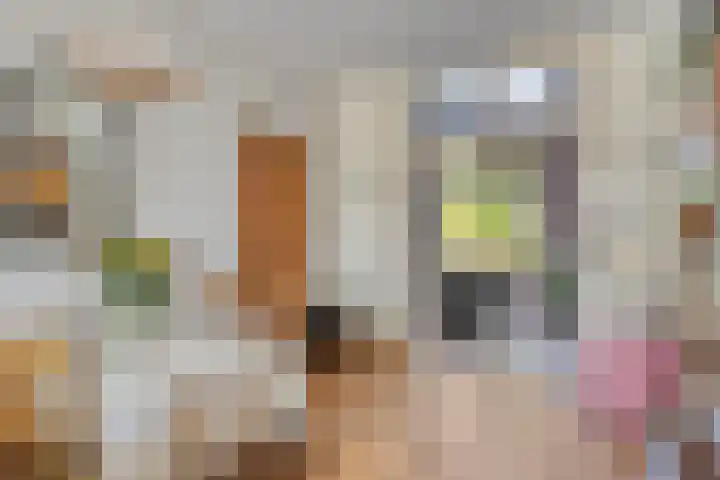 Kloetingseweg 17 Goes thumbnail 9