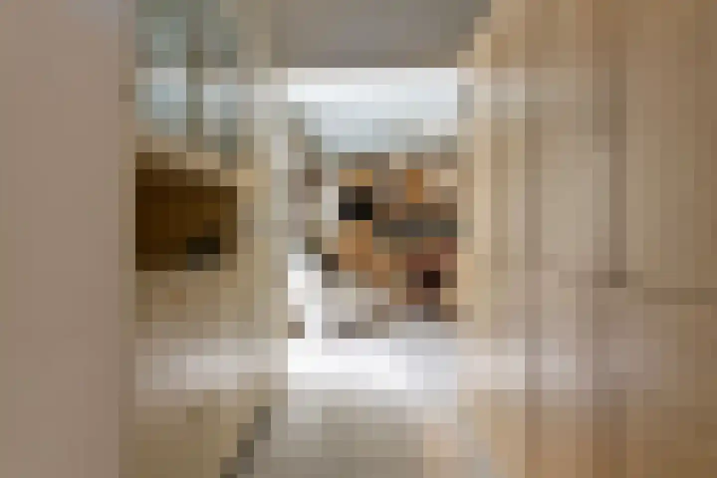Kloetingseweg 19 Goes thumbnail 18