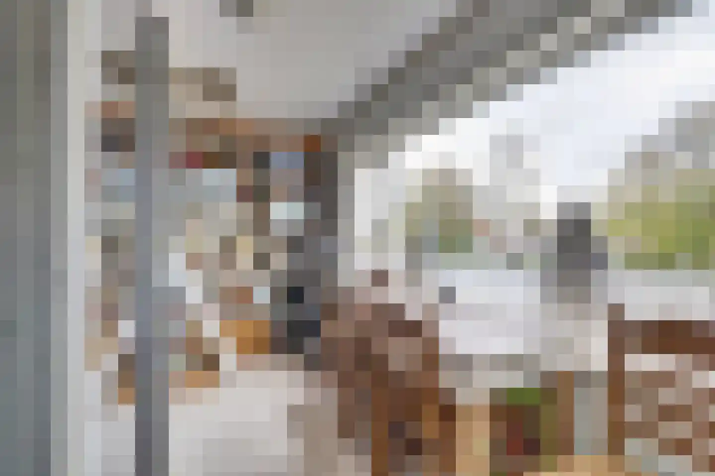 Kloetingseweg 35 Goes thumbnail 12