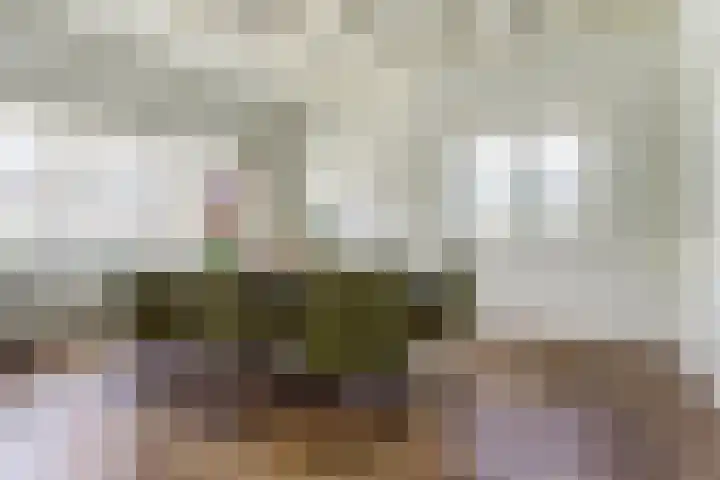 Kloetingseweg 40 Goes thumbnail 19