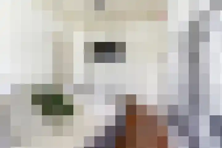Kloetingseweg 40 Goes thumbnail 34