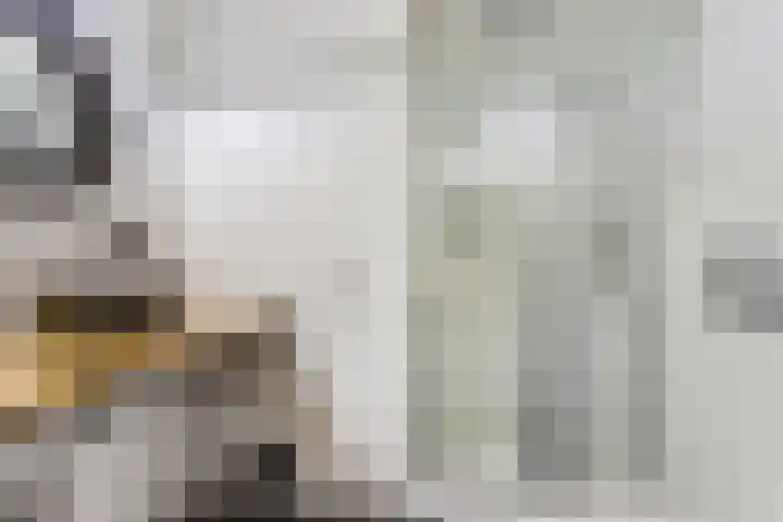 Kloetingseweg 40 Goes thumbnail 38