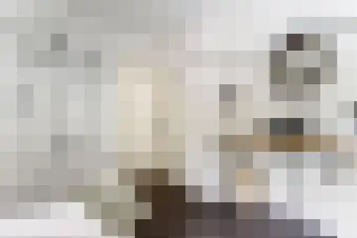 Kloetingseweg 40 Goes thumbnail 41