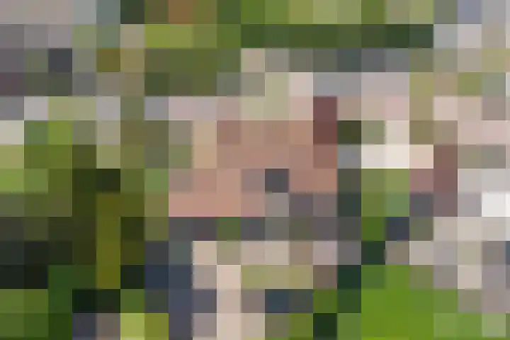 Kloetingseweg 40 Goes thumbnail 48