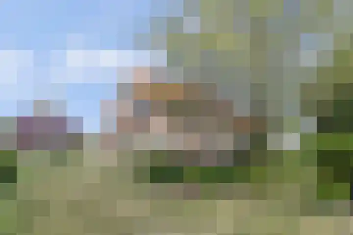 Kloetingseweg 40 Goes thumbnail 5