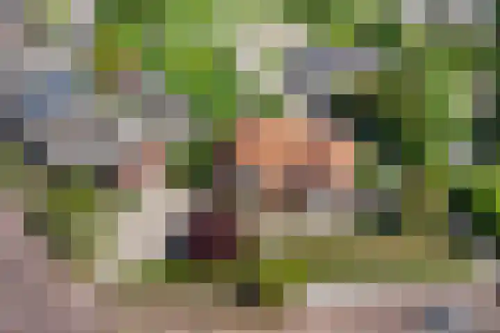 Kloetingseweg 40 Goes thumbnail 50