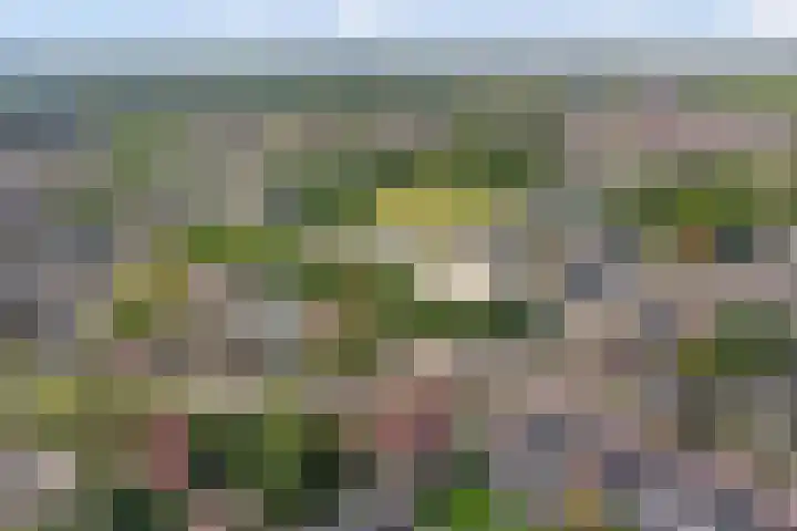 Kloetingseweg 40 Goes thumbnail 53
