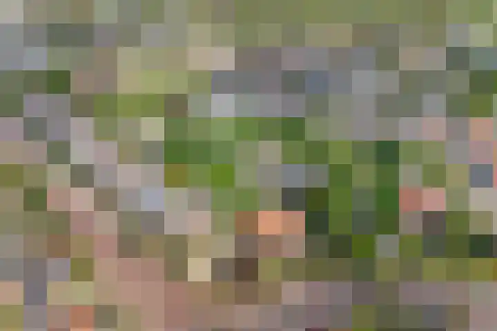 Kloetingseweg 40 Goes thumbnail 54