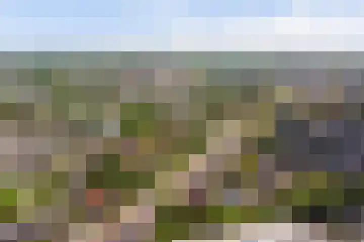 Kloetingseweg 40 Goes thumbnail 55