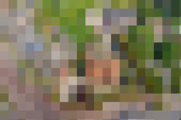 Kloetingseweg 40 Goes thumbnail 56