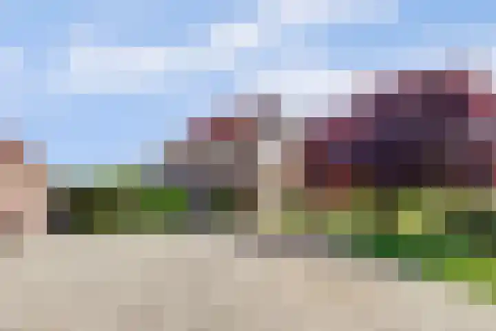 Kloetingseweg 40 Goes thumbnail 6
