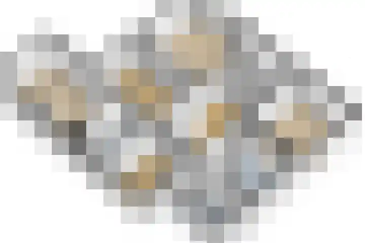 Kloetingseweg 40 Goes thumbnail 64