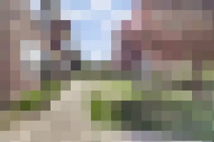 Kloetingseweg 40 Goes thumbnail 7
