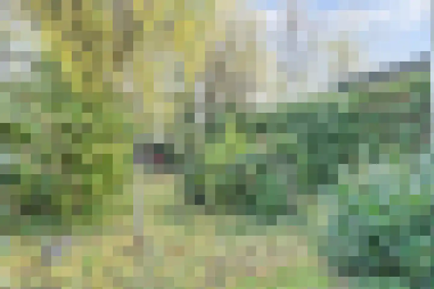 Kloetingseweg 70 Goes thumbnail 25