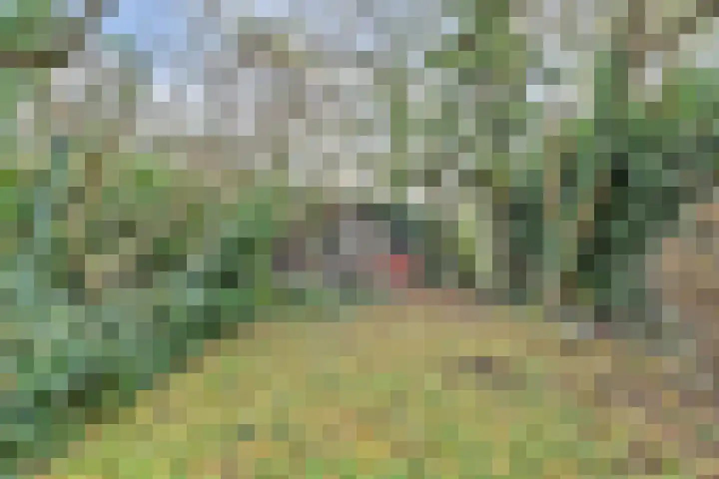 Kloetingseweg 70 Goes thumbnail 27