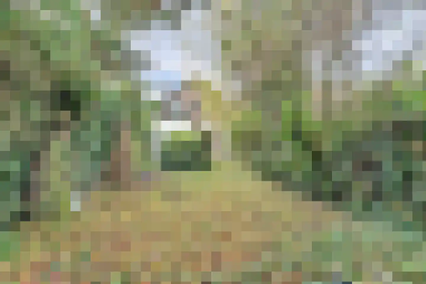 Kloetingseweg 70 Goes thumbnail 28