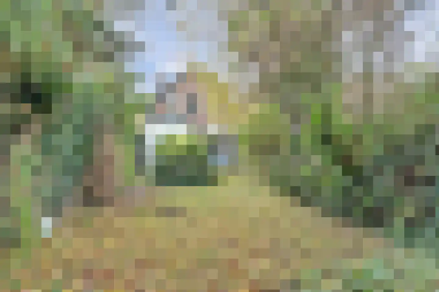 Kloetingseweg 70 Goes thumbnail 29