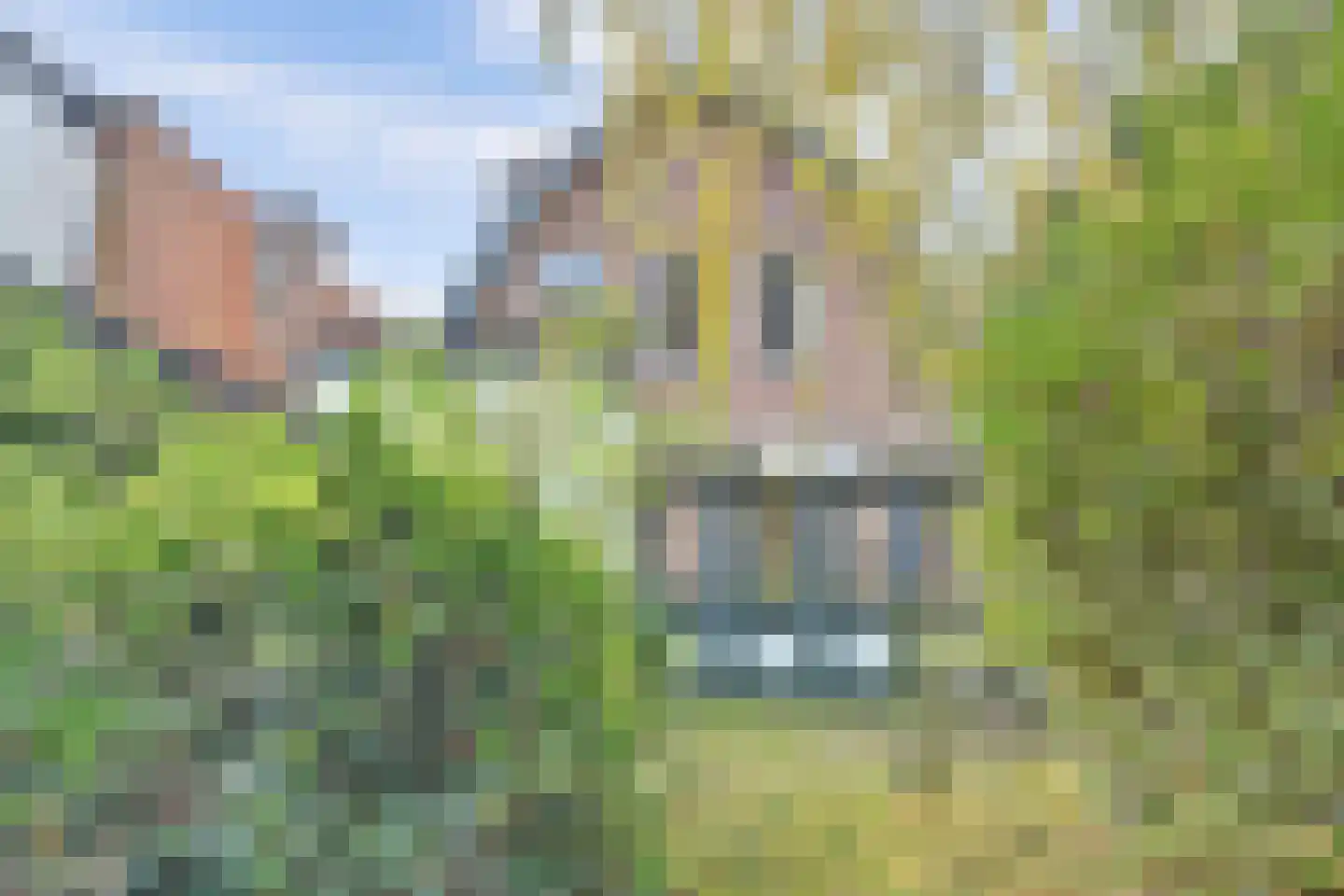 Kloetingseweg 70 Goes thumbnail 30