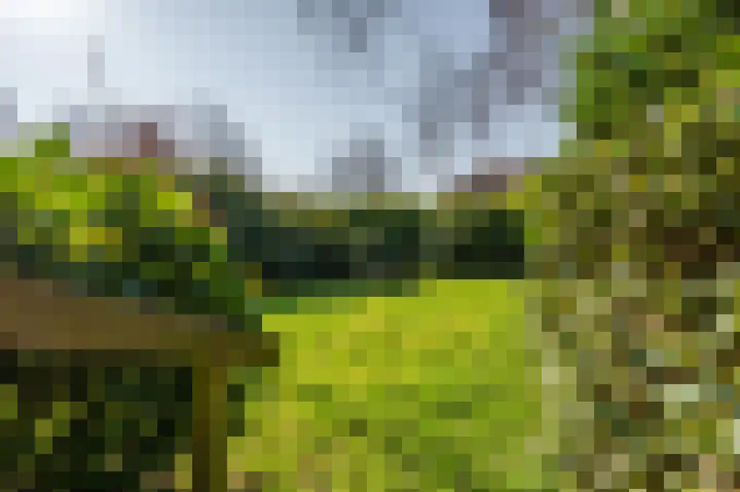 Kloetingseweg 82 Goes thumbnail 29