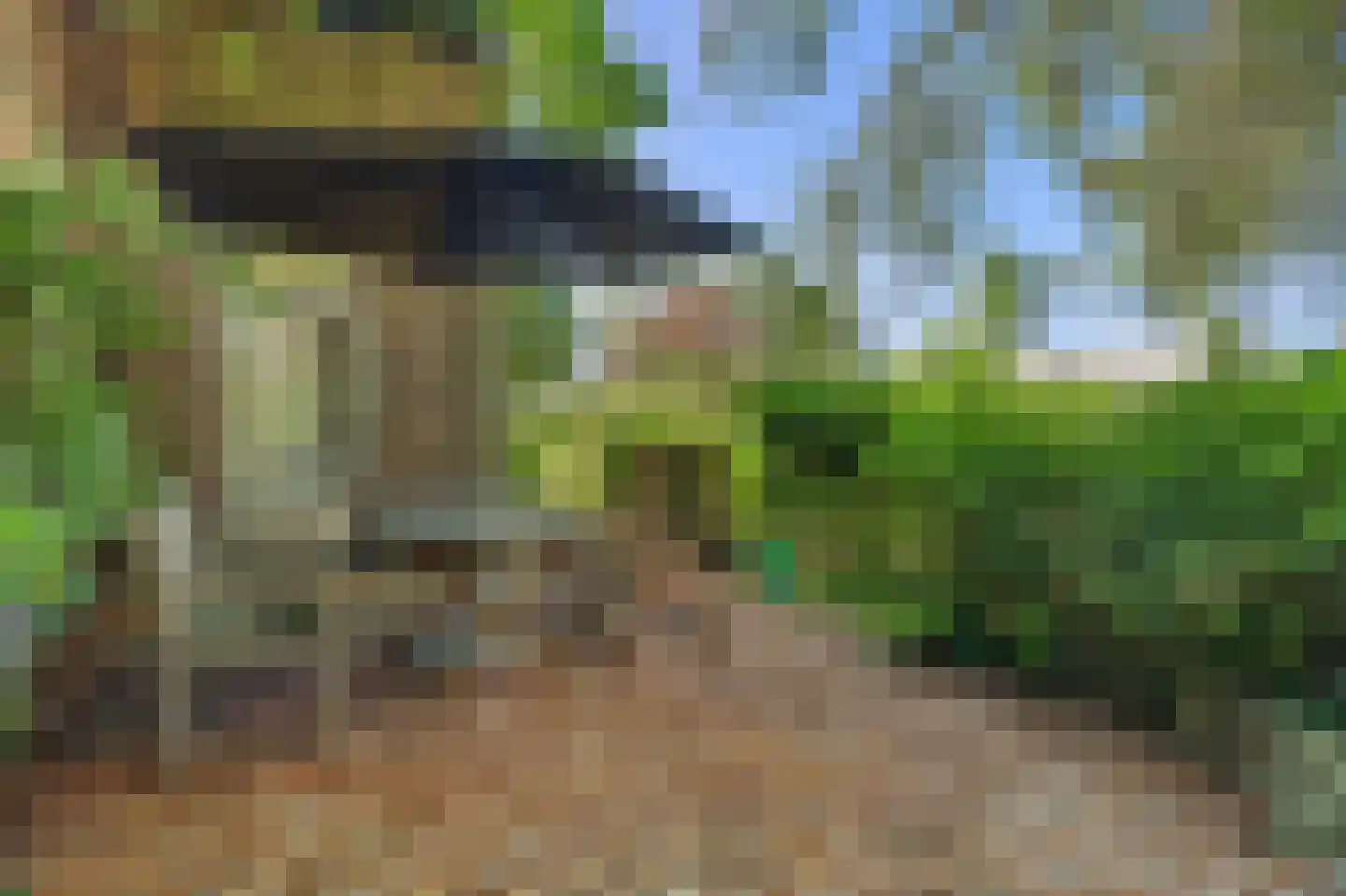 Kloetingseweg 82 Goes thumbnail 30