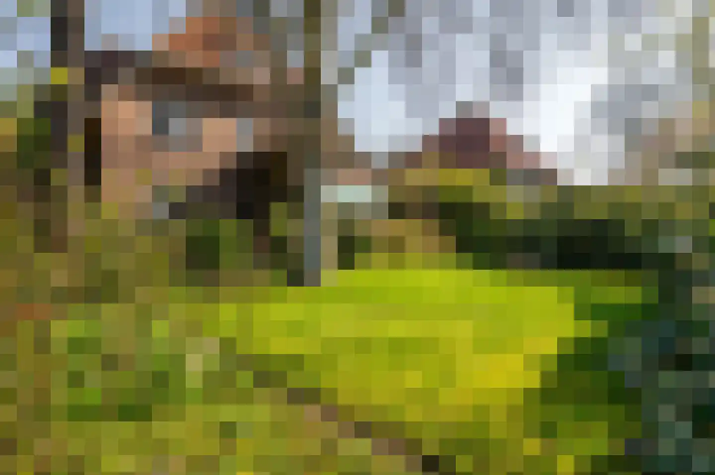 Kloetingseweg 82 Goes thumbnail 5