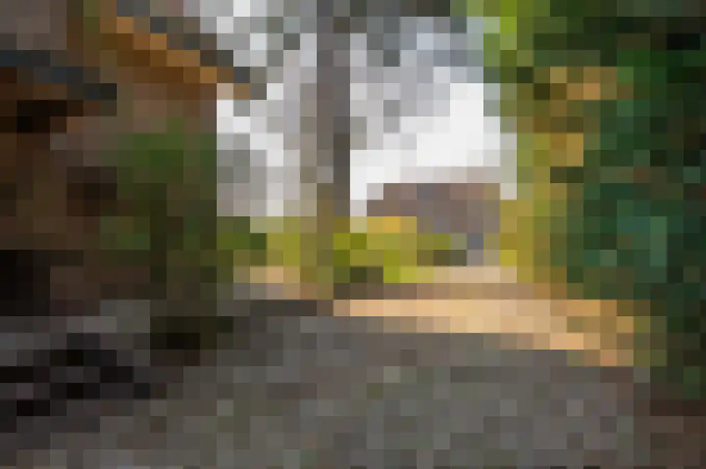 Kloetingseweg 82 Goes thumbnail 6